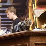 Was in a coffee shop in Amsterdam and made friends with the local cat who moved in a while ago...